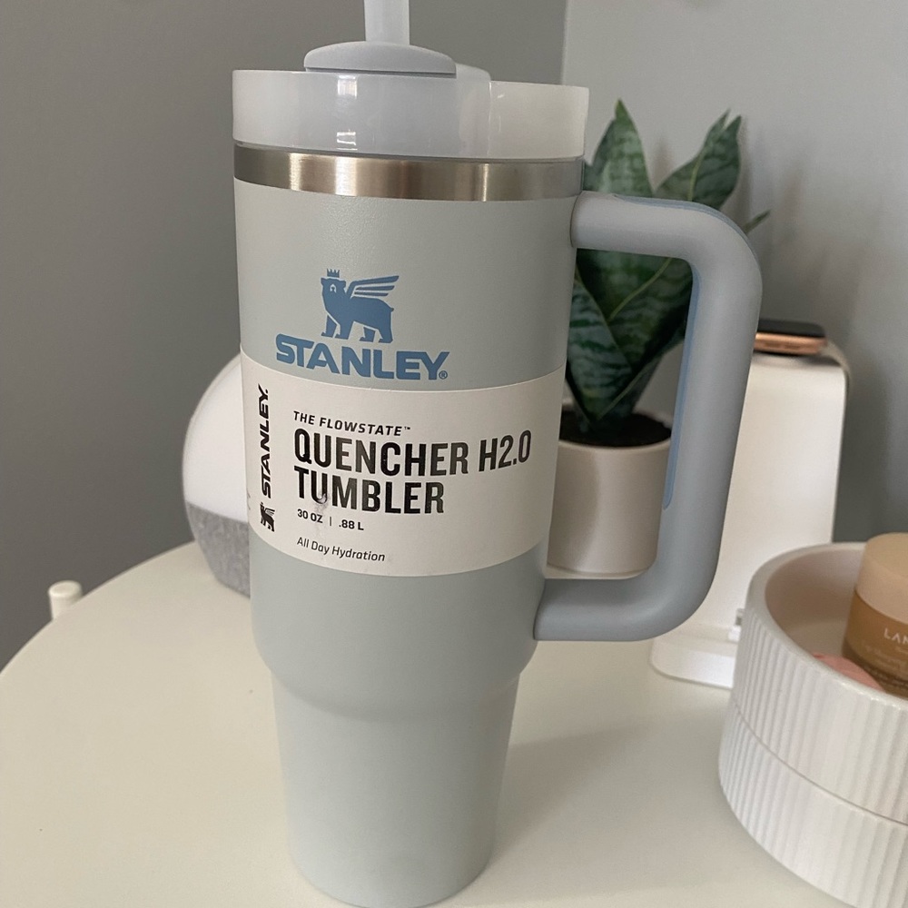 30oz With Handle Stanley Cup